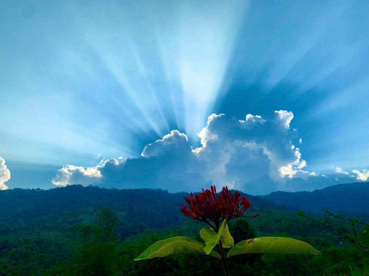 Pu Luong Cuisine Garden Homestay Lang Bang ภายนอก รูปภาพ