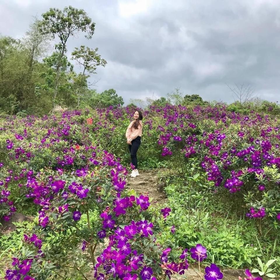 Pu Luong Cuisine Garden Homestay Lang Bang ภายนอก รูปภาพ