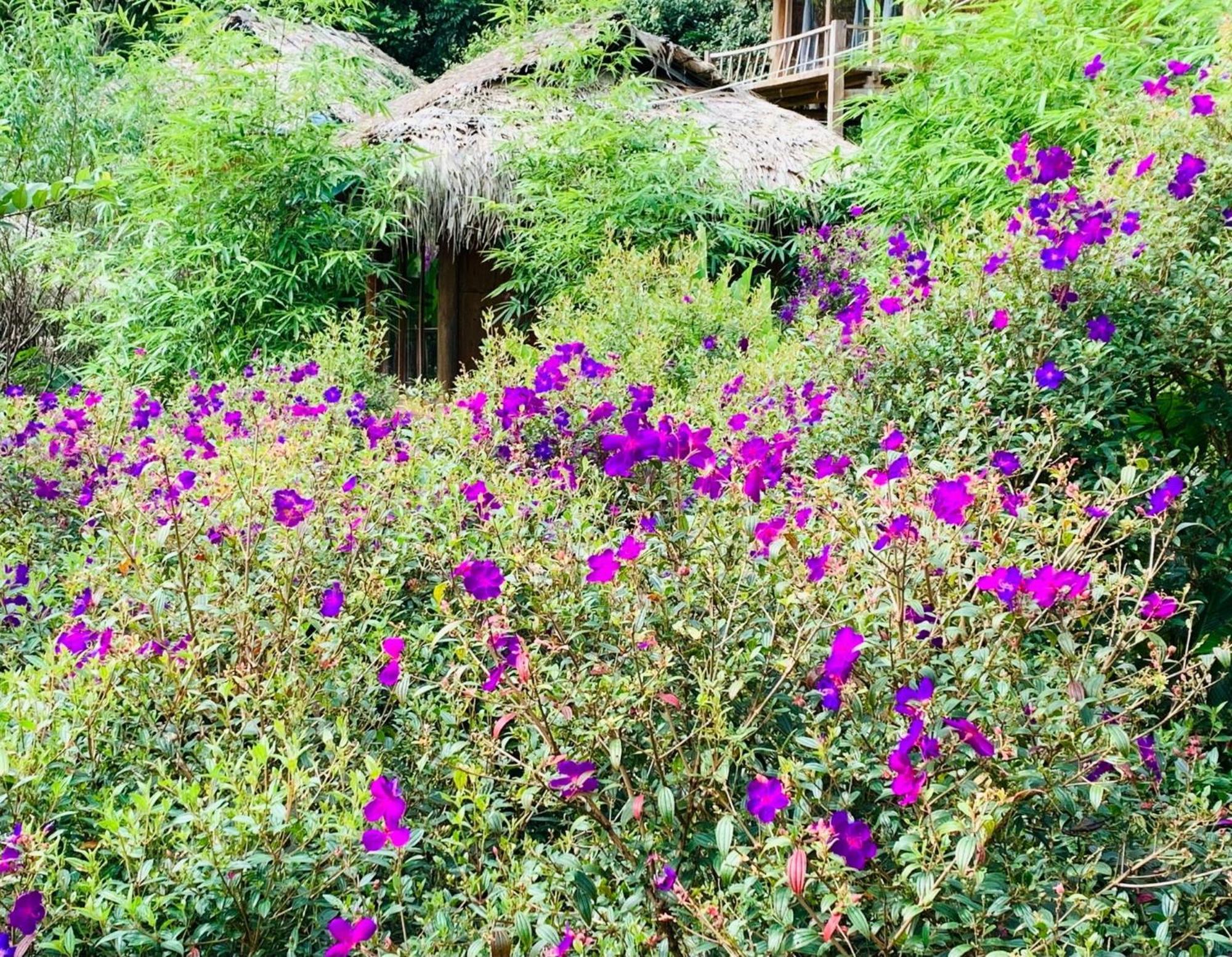 Pu Luong Cuisine Garden Homestay Lang Bang ภายนอก รูปภาพ